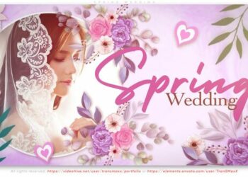 VideoHive Spring Wedding 43343703