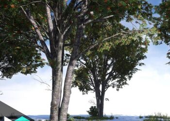 Gumroad – Game-Ready Tree Creation from Maya to Unreal