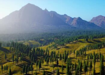 VideoHive Beautiful Mountain View with Pine Forest 43491507