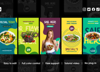 VideoHive Healthy Food Instagram Reels 44160096
