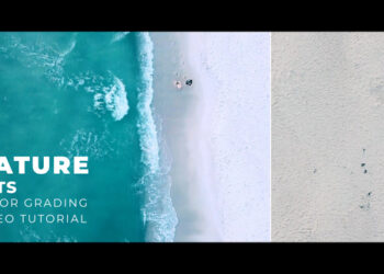 VideoHive Nature LUTs 43420641