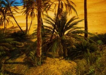 VideoHive Palms Oasis in the Desert 43491541