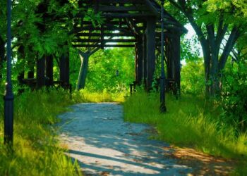 VideoHive Paths in the Park Zone 43530531