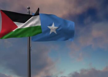 VideoHive Somalia Flag Waving Along With The Palestine Flag - 4K 43407589