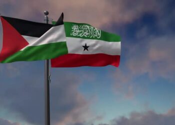 VideoHive Somaliland Flag Waving Along With The Palestine Flag - 2K 43407594