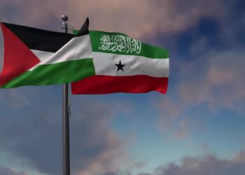 VideoHive Somaliland Flag Waving Along With The Palestine Flag - 4K 43407591