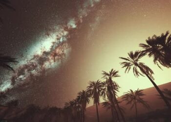 VideoHive Starry Night Sky Against with Coconut Palm Trees 43424888
