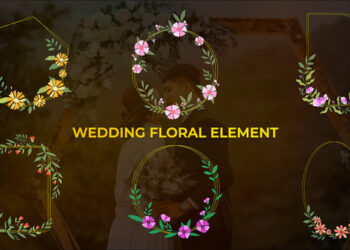 VideoHive Wedding Colorful Floral Element 43899808