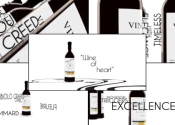 VideoHive Wine Exelence Commercial 14294992