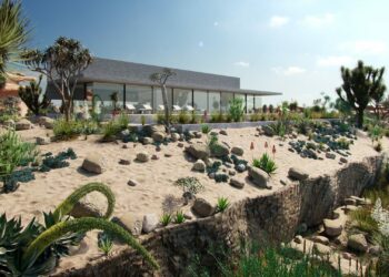 Globe Plants – Bundle 11 – Desert Garden