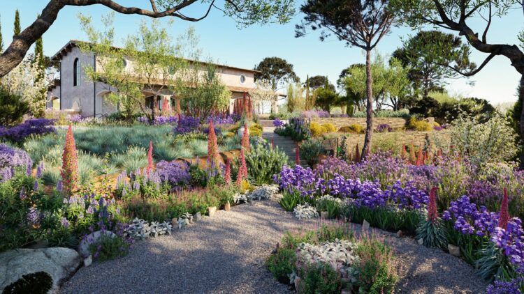 Globe Plants – Bundle 16 – Mediterranean Plants