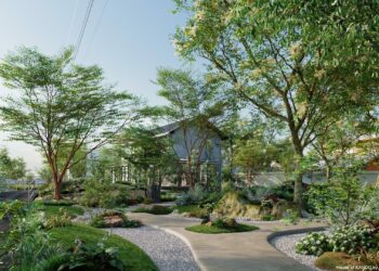 Globe Plants – Bundle 17 – Modern Janapese Garden