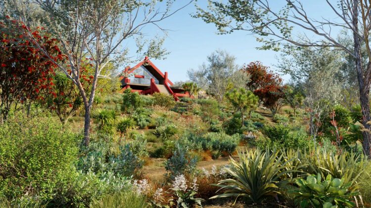 Globe Plants – Bundle 21 – New Zealand Plants