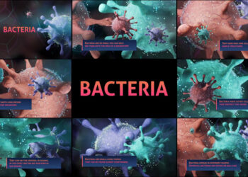 VideoHive Bacteria for After Effects 44312858