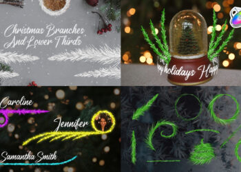 VideoHive Christmas Branches And Lower Thirds for FCPX 42265429