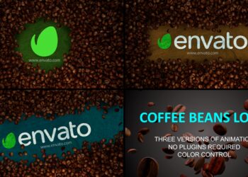 VideoHive Coffee Beans Logo 44155371