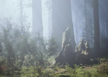 VideoHive Huge Redwoods Located at the Sequoia National Park 43426851