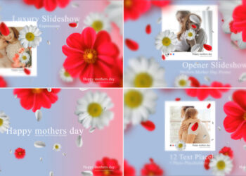 VideoHive Mother's Day 44760990