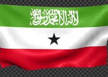 VideoHive Somaliland Flag Waving Looped 43449562