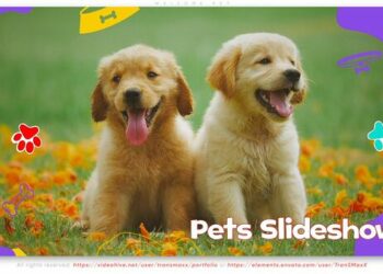 VideoHive Welcome Pet 44373316
