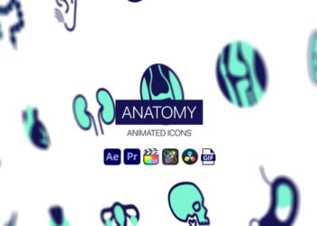 VideoHive Anatomy Animated Icons 44950428