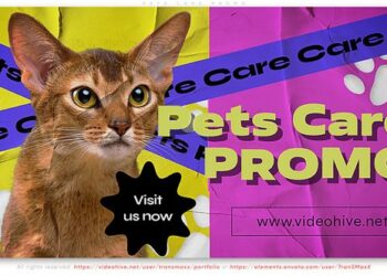 VideoHive Pets Care Promo 45024534
