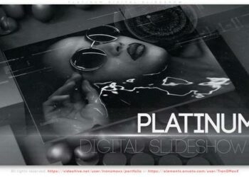 VideoHive Platinum Digital Slideshow 45793780