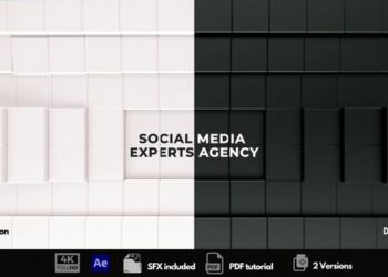VideoHive The Social Media Experts 44960462