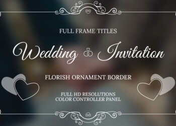 VideoHive Wedding Invitation Overlays 45222229