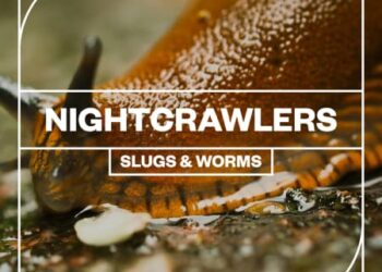 Blastwave FX - Nightcrawlers Slugs and Worms