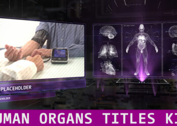 VideoHive Human Organs Titles Kit 45504697