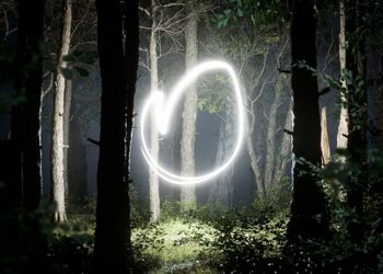 VideoHive Light In The Forest 45909179