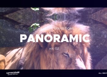 VideoHive Light Leaks Panoramic Transitions Vol. 02 46089379
