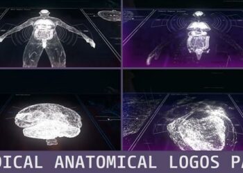 VideoHive Medical Anatomical Logos Pack 45237295