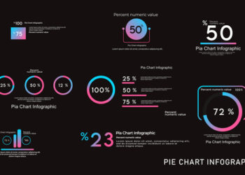 VideoHive Pie Chart Infographics 4 45697093
