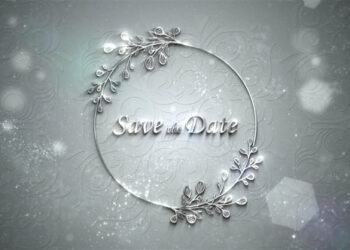 VideoHive Wedding Silver Titles 45482088