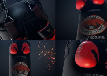 VideoHive Boxing Gloves Logo Reveal 25009365