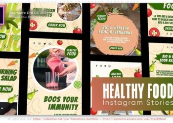 VideoHive Healthy Food Instagram Promo Pack 46160774