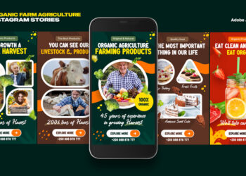 VideoHive Organic Food Instagram Stories 46320755