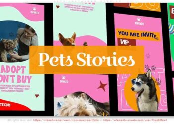 VideoHive Pets Instagram Stories 46054242