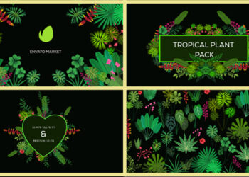 VideoHive Tropical Plant Pack 20676721