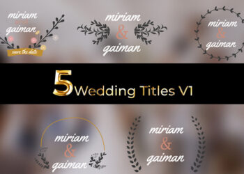 VideoHive Wedding Titles Leaf labels Pack 01 46199746