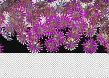 VideoHive 3d Glowing Flowers Transition 47610057
