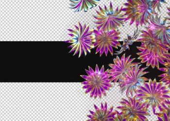 VideoHive 3d Glowing Flowers Transition 47610252