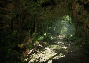 VideoHive A Mesmerizing Forest Tunnel Illuminated By Sunlight 47592741