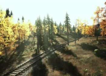 VideoHive Abandoned Railway Stretching Through a Grove of Fir Trees at Dusk 47592557