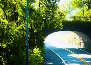 VideoHive Arch Bridge with Living Bush Branches in Park 47581373