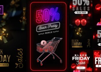 VideoHive Black Friday Posts and Stories 41687461