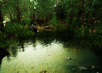 VideoHive Forest Spring Landscape with Overgrown Pond 47581682