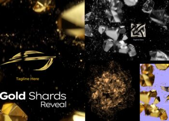 VideoHive Gold Shards Reveal 47423763